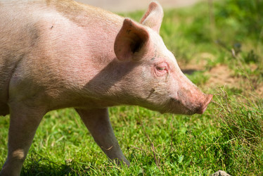 Similar image 20993467