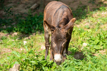 Similar image 20993468