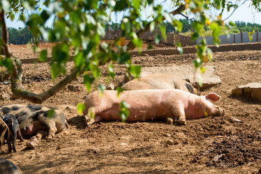 Similar image 20993471