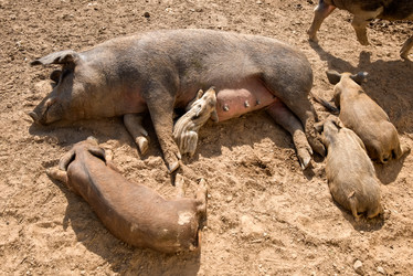 Similar image 20993472