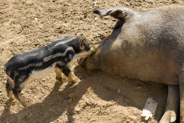 Similar image 20993475