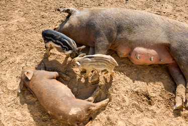 Similar image 20993476