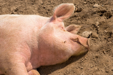 Similar image 20993477