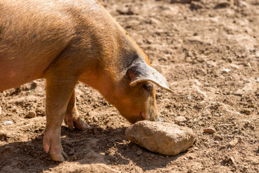 Similar image 20993478