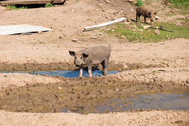 Similar image 20993479