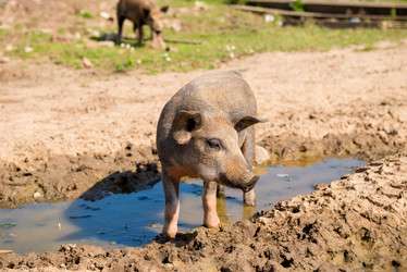 Similar image 20993480