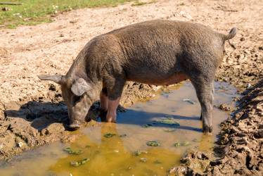 Similar image 20993481