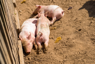 Similar image 20993482