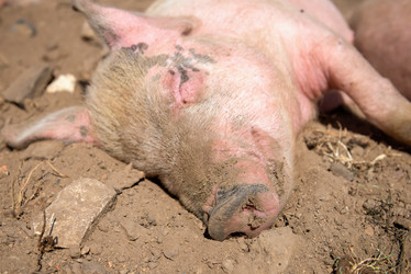 Similar image 20993487