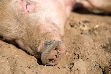 Similar image 20993488