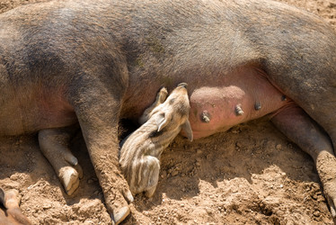 Similar image 20993489