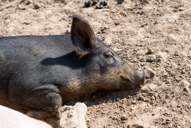 Similar image 20993491