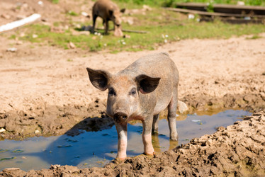 Similar image 20993492