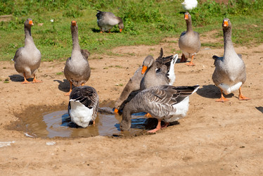 Similar image 20993493