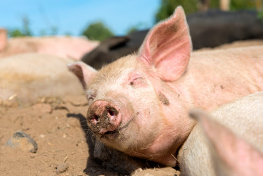 Similar image 20993496