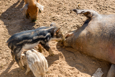 Similar image 20993497