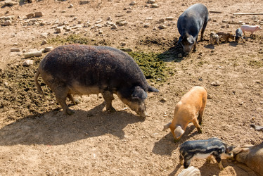 Similar image 20993582