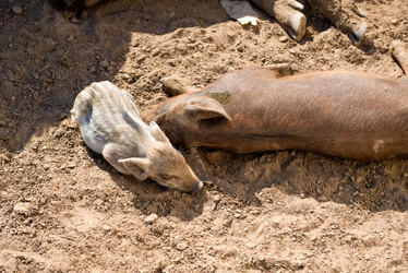 Similar image 20993584