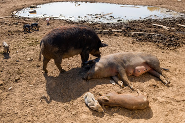 Similar image 20993585