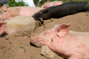 Similar image 20993499