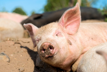 Similar image 20993505