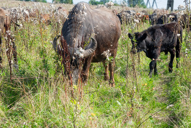 Similar image 20993512