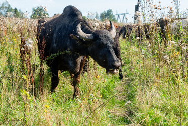 Similar image 20993513