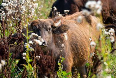 Similar image 20993514