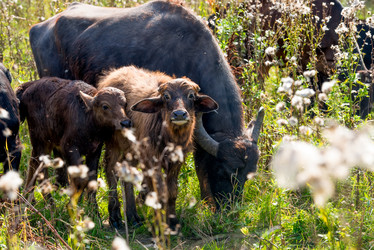 Similar image 20993517