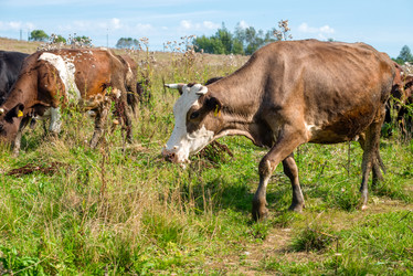 Similar image 20993518