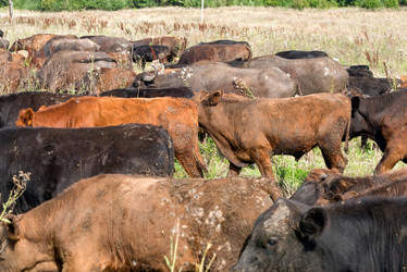 Similar image 20993519