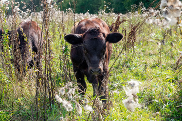 Similar image 20993520