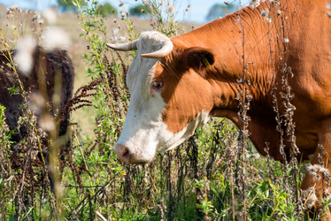 Similar image 20993521