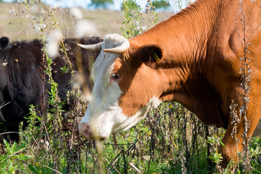 Similar image 20993522