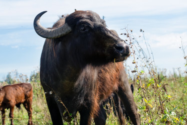 Similar image 20993524