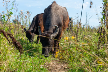 Similar image 20993525