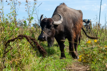 Similar image 20993526