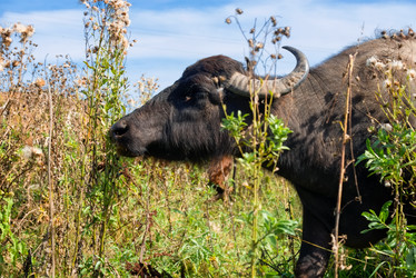 Similar image 20993528