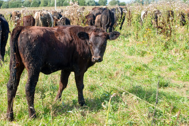 Similar image 20993530