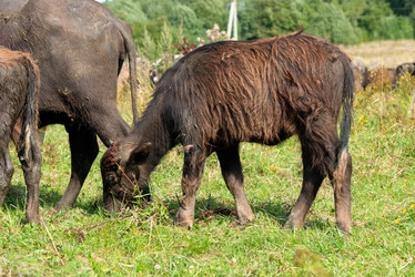 Similar image 20993531