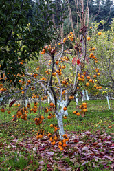 Similar image 20992198