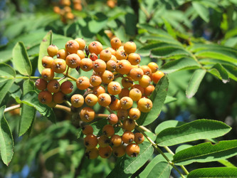 Similar image 20991830