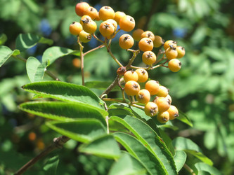 Similar image 20991831