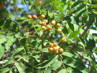 Similar image 20991833