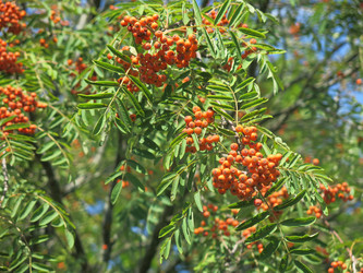 Similar image 20991854