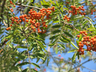 Similar image 20991856