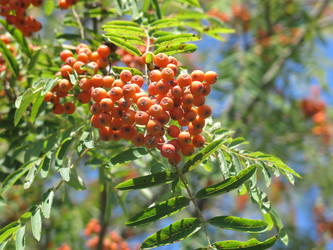 Similar image 20991857