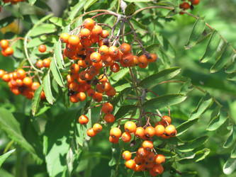 Similar image 20991858