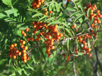 Similar image 20991859