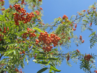 Similar image 20991860